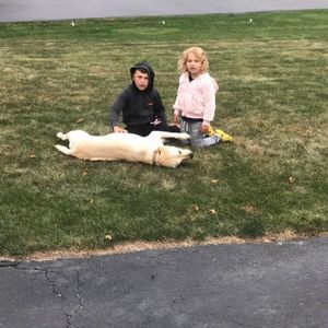 Meet your Posher, Frank